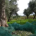 בית כפרי Quinta Dos Mascarenhas Nature House אוליביירה דו הוספיטל