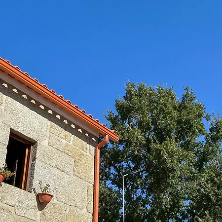 Quinta Dos Mascarenhas Nature House Летний дом