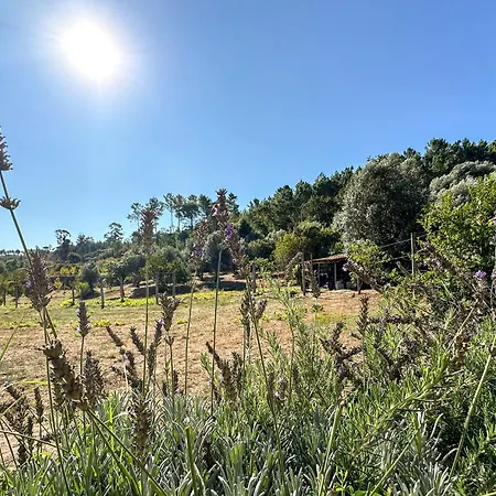 Quinta Dos Mascarenhas Nature House Country house *