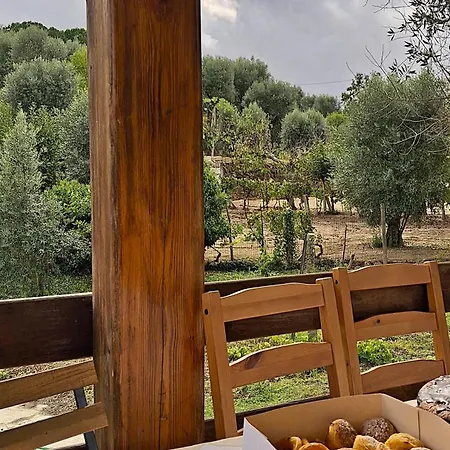 Quinta Dos Mascarenhas Nature House * Оливейра-ду-Ошпитал