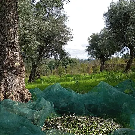 Gospodarstwo wiejskie Quinta Dos Mascarenhas Nature House Oliveira do Hospital