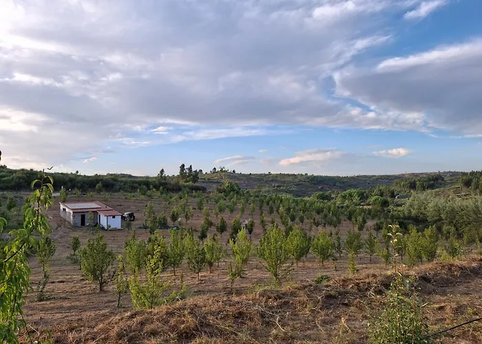 Quinta Dos Mascarenhas Nature House * Оливейра-ду-Ошпитал