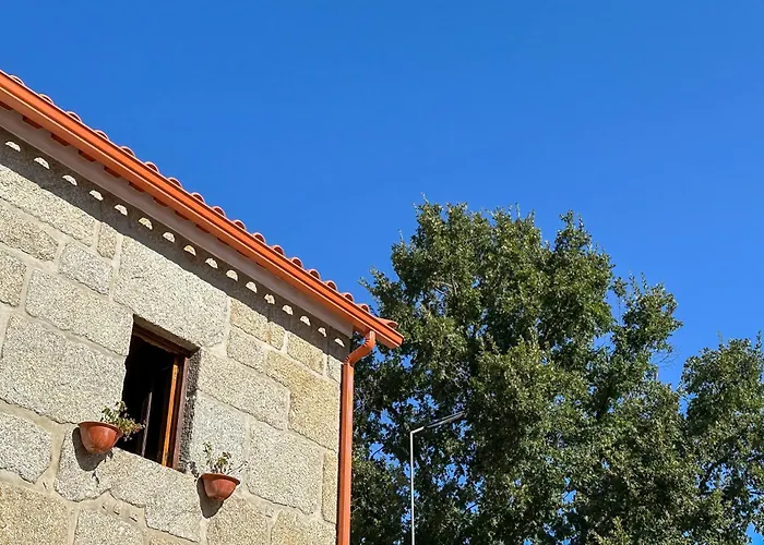 Quinta Dos Mascarenhas Nature House Летний дом