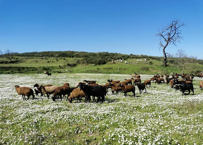 Quinta Dos Mascarenhas Nature House