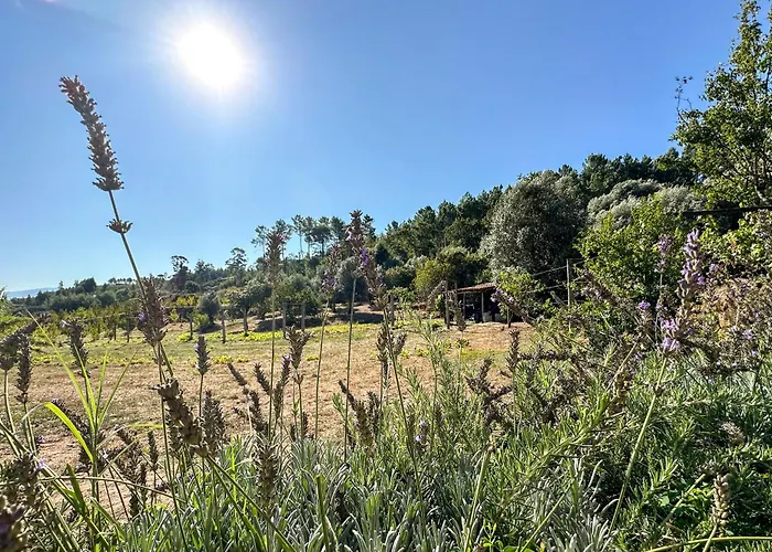 Quinta Dos Mascarenhas Nature House Летний дом *
